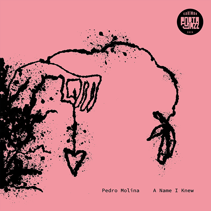 Album cover: A Name I Knew